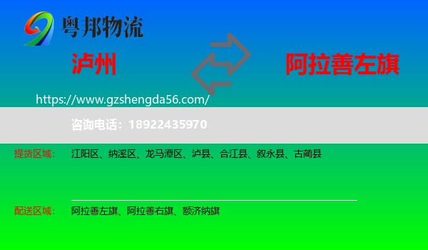 泸州到阿拉善左旗物流专线