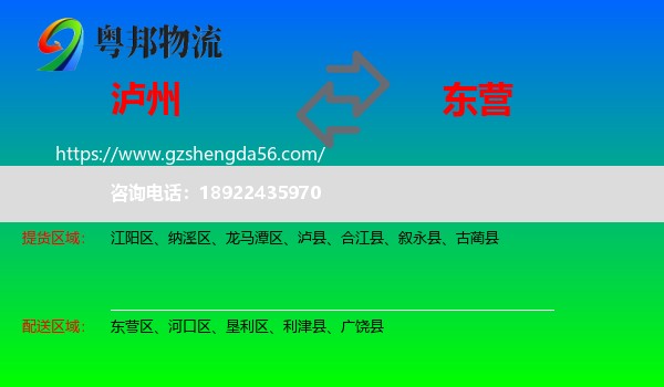 泸州到东营物流