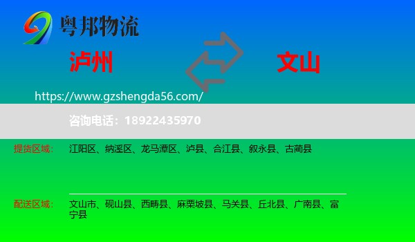 泸州到文山物流