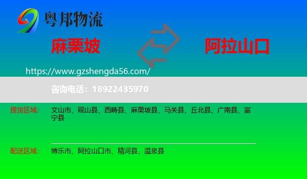 麻栗坡县到阿拉山口市物流专线