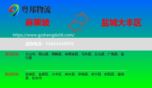 麻栗坡县到大丰区物流专线