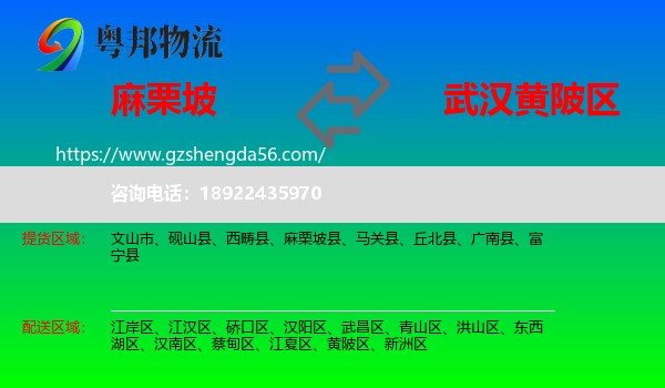 麻栗坡县到黄陂区物流专线