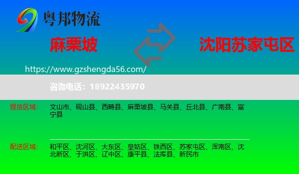 麻栗坡县到苏家屯区物流专线
