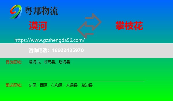 漠河市到攀枝花物流