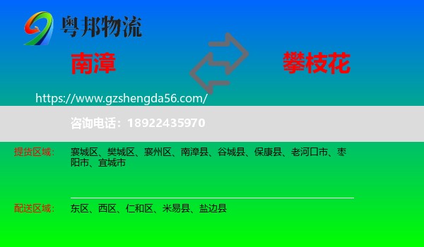 南漳县到攀枝花物流