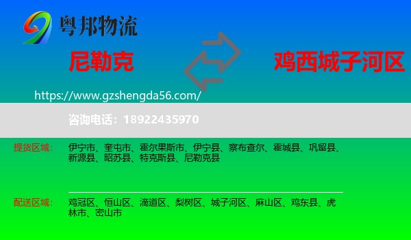 尼勒克县到城子河区物流专线