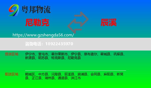 尼勒克县到辰溪县物流专线