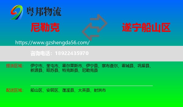 尼勒克县到船山区物流专线