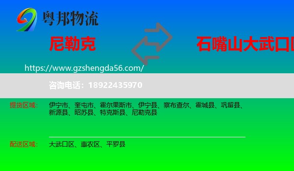 尼勒克县到大武口区物流专线