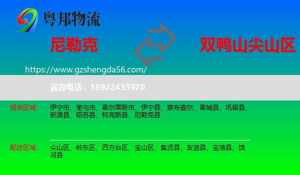 尼勒克县到尖山区物流专线