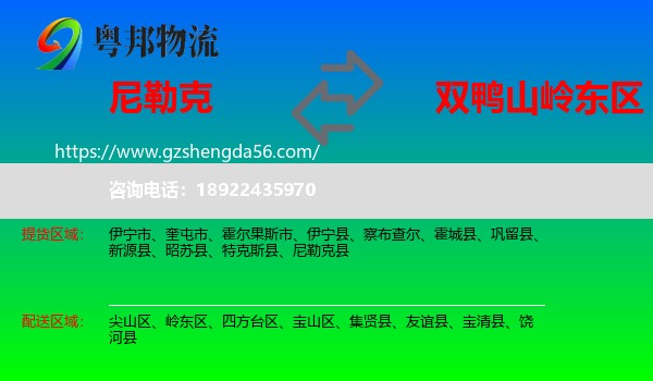 尼勒克县到岭东区物流专线
