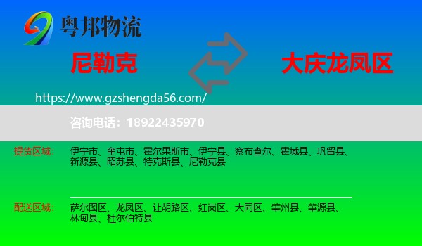 尼勒克县到龙凤区物流专线