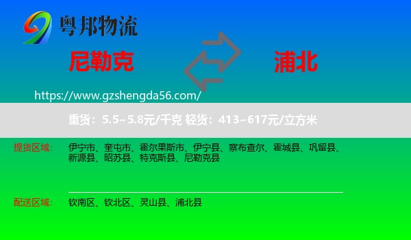 尼勒克县到浦北县物流专线