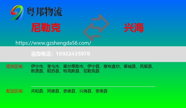 尼勒克县到兴海县物流专线