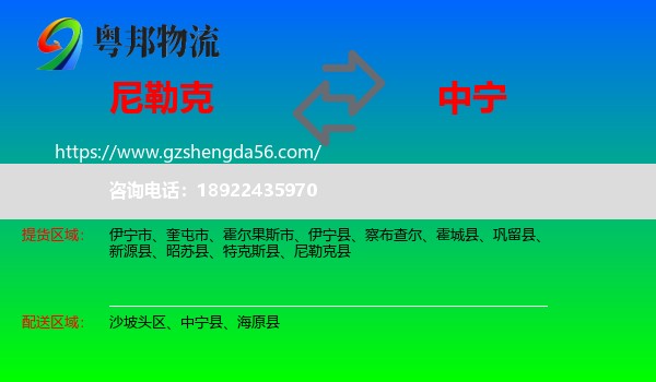 尼勒克县到中宁县物流专线