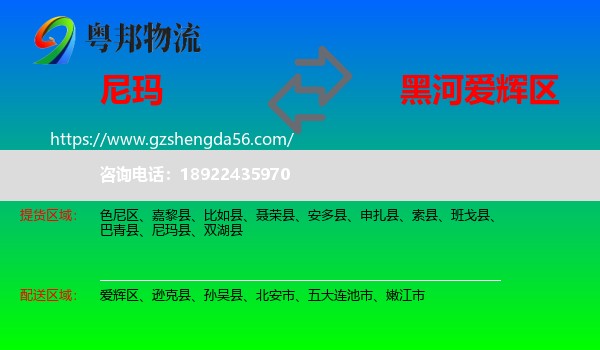 尼玛县到爱辉区物流专线