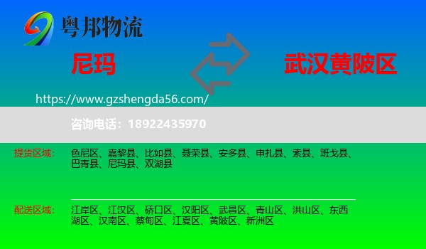 尼玛县到黄陂区物流专线