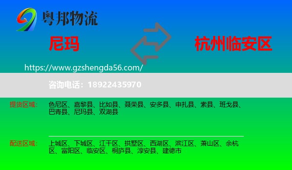 尼玛县到临安区物流专线