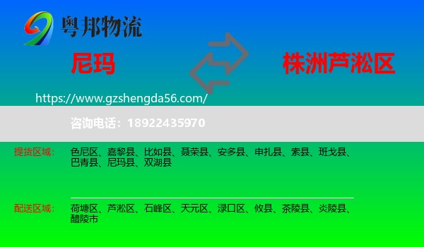 尼玛县到芦淞区物流专线