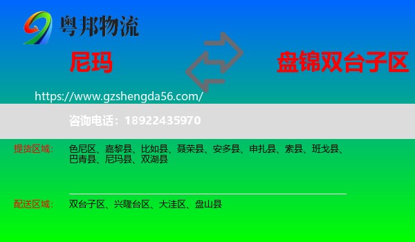尼玛县到双台子区物流专线