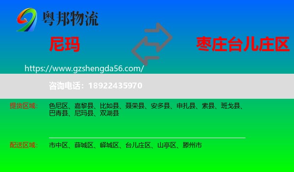 尼玛县到台儿庄区物流专线