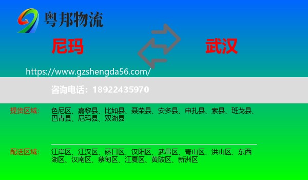 尼玛县到武汉专线