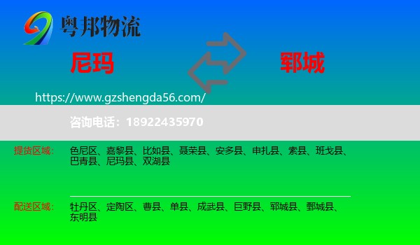 尼玛县到郓城县物流专线