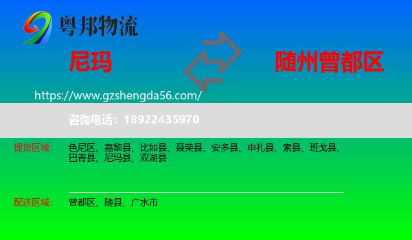 尼玛县到曾都区物流专线
