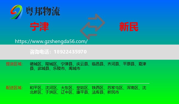 宁津县到新民市物流专线