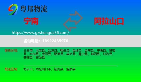 宁南县到阿拉山口市物流专线