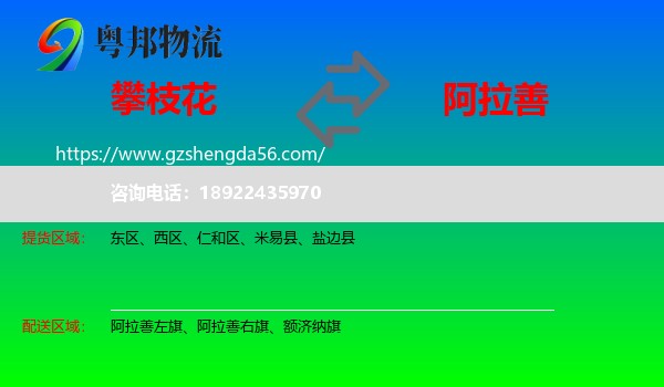 攀枝花到阿拉善盟物流专线