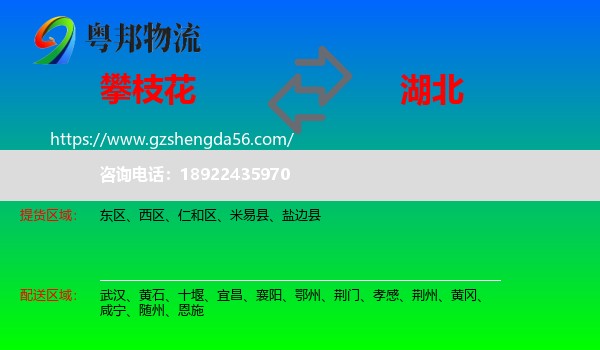 攀枝花到湖北物流专线