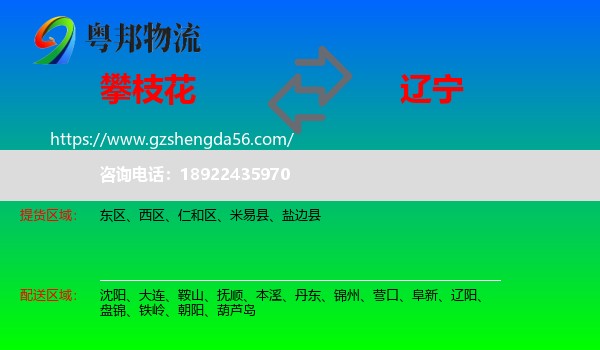 攀枝花到辽宁物流专线