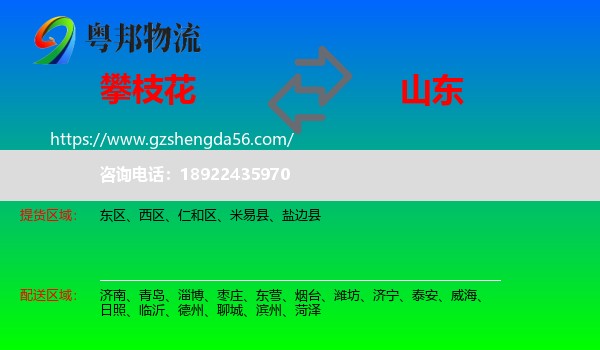 攀枝花到山东物流专线