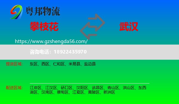 攀枝花到武汉专线