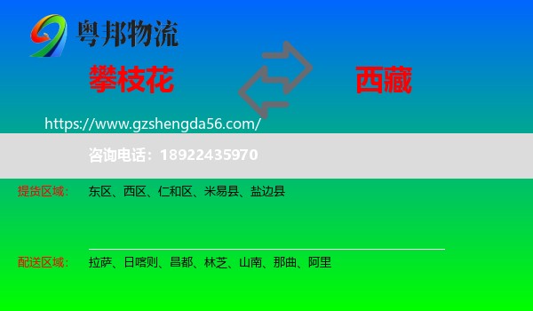 攀枝花到西藏物流专线