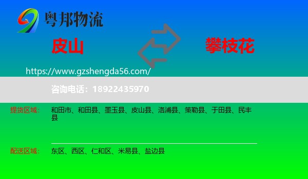 皮山县到攀枝花物流专线