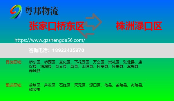 桥东区到渌口区物流专线