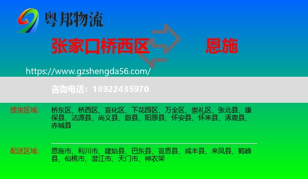 桥西区到恩施物流