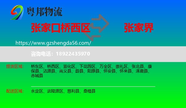 桥西区到张家界物流
