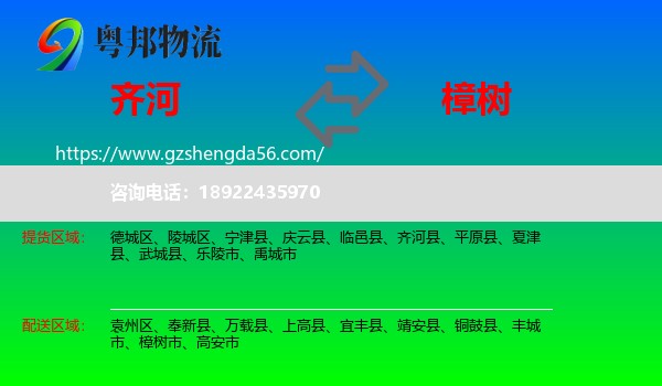 齐河县到樟树市物流专线