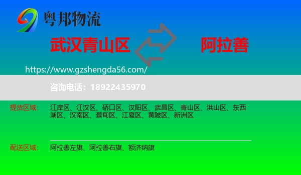 青山区到阿拉善盟物流