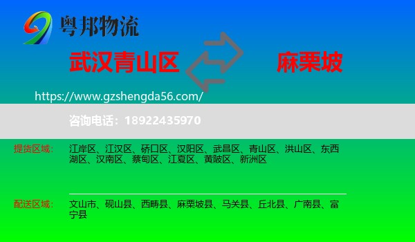 青山区到麻栗坡县物流专线