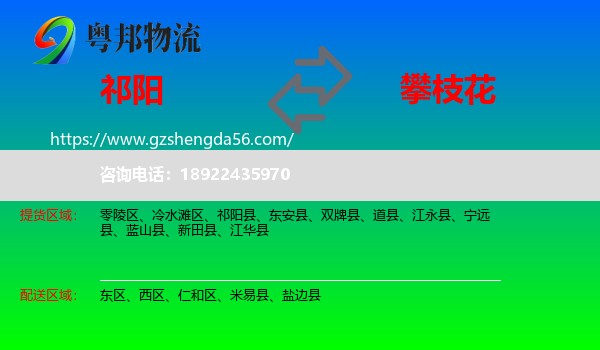 祁阳县到攀枝花物流