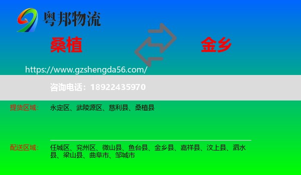 桑植县到金乡县物流专线