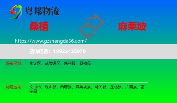 桑植县到麻栗坡县物流专线