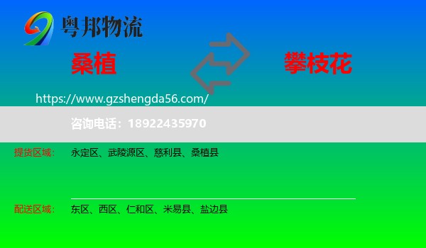 桑植县到攀枝花物流