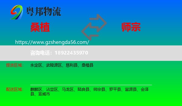 桑植县到师宗县物流专线