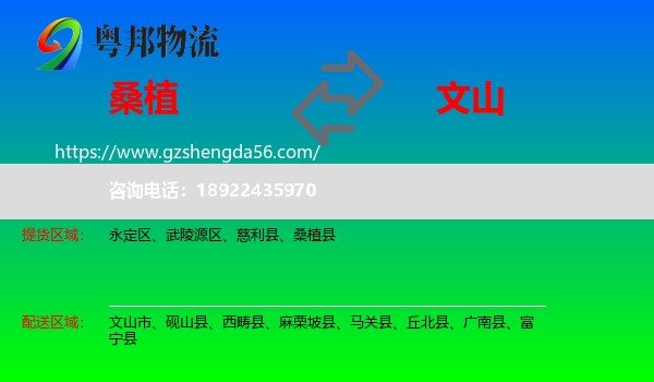 桑植县到文山物流