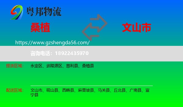 桑植县到文山市物流专线